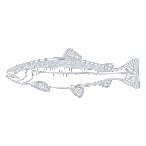 A detailed aluminum wall art piece of a salmon with an inverted skin pattern, shown in profile. The metallic sheen contrasts against a black background.